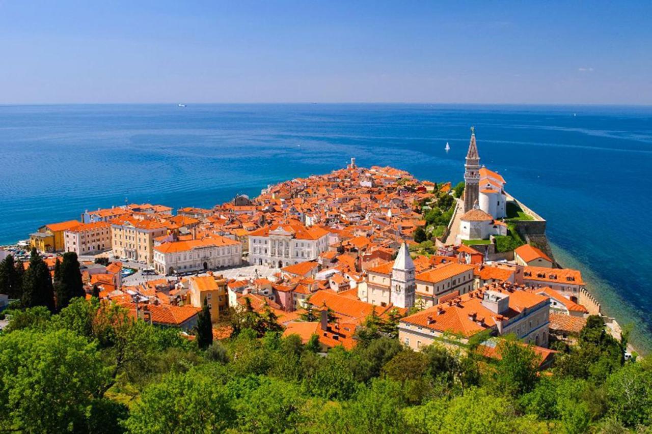 Alex * Piran